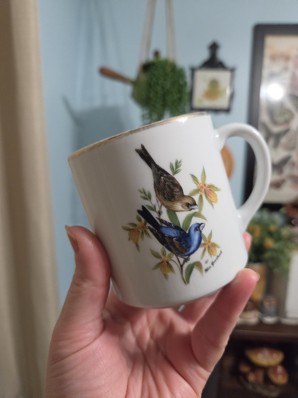 Vintage Bareuther Waldsassen Bavaria Porcelain Mug Blue Grosbeak Bird Gold Trim